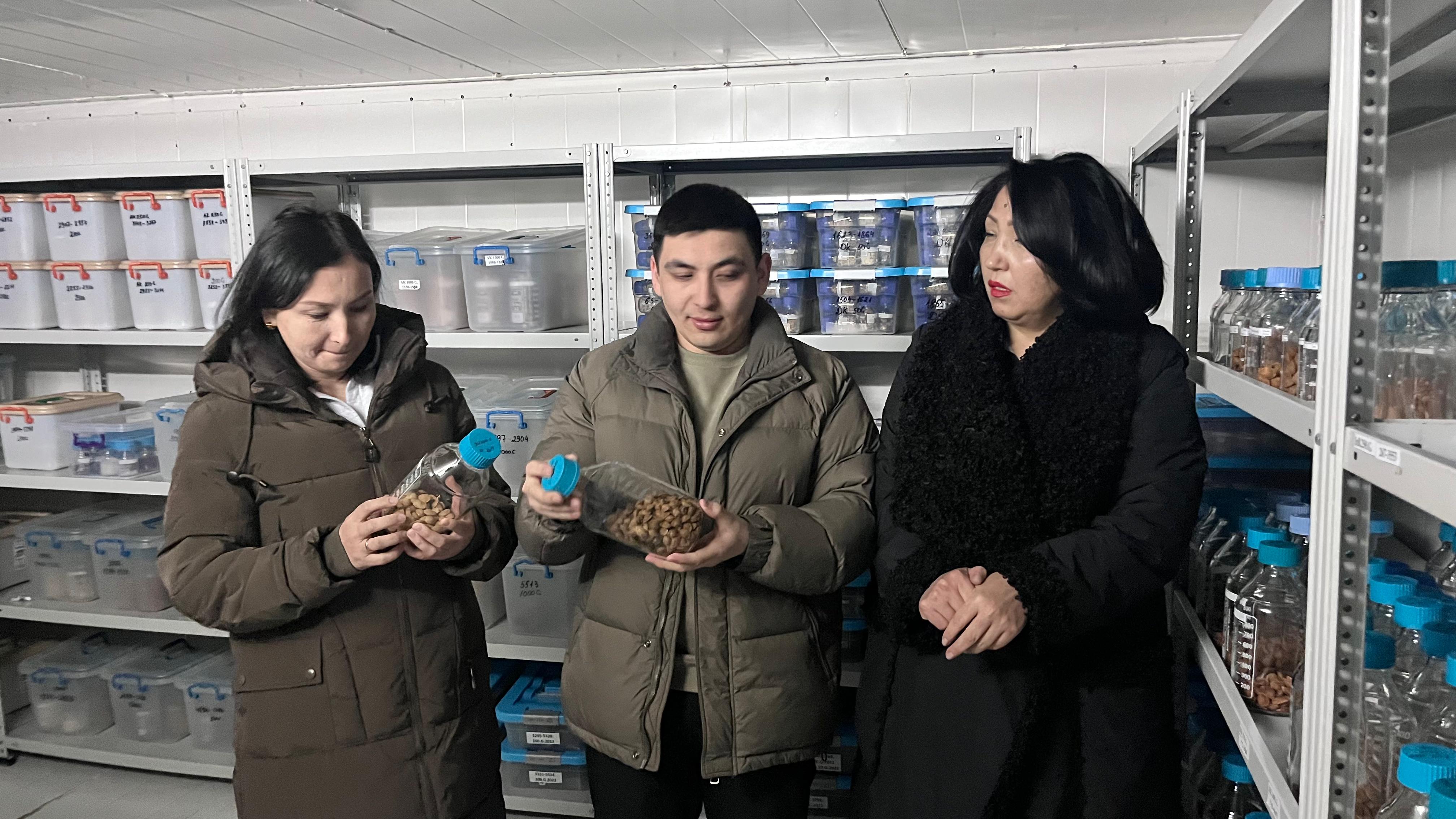 1 курс геоботаника мамандығының докторанттары "Қазақстан флорасының тұқым банкінің" дәріс сабағына қатысып, жаңа біліммен бөлісті!